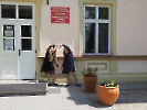  IX PODKARPACKI FESTIWAL MŁODYCH FLECISTÓW 21.05.2026_17