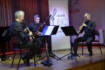 Podkarpackie Recitale Kameralne TRIO STROIKOWE_16