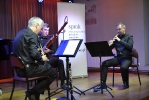 Podkarpackie Recitale Kameralne TRIO STROIKOWE_17